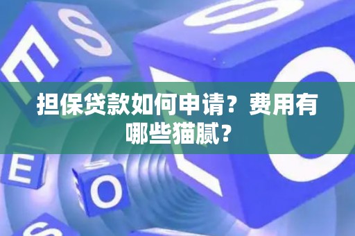 担保贷款如何申请？费用有哪些猫腻？